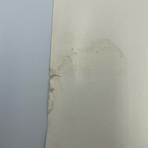 Alfred Sisley Garden in Louveciennes in the Snow Vintage Print 19" x 13" - Picture 10 of 12